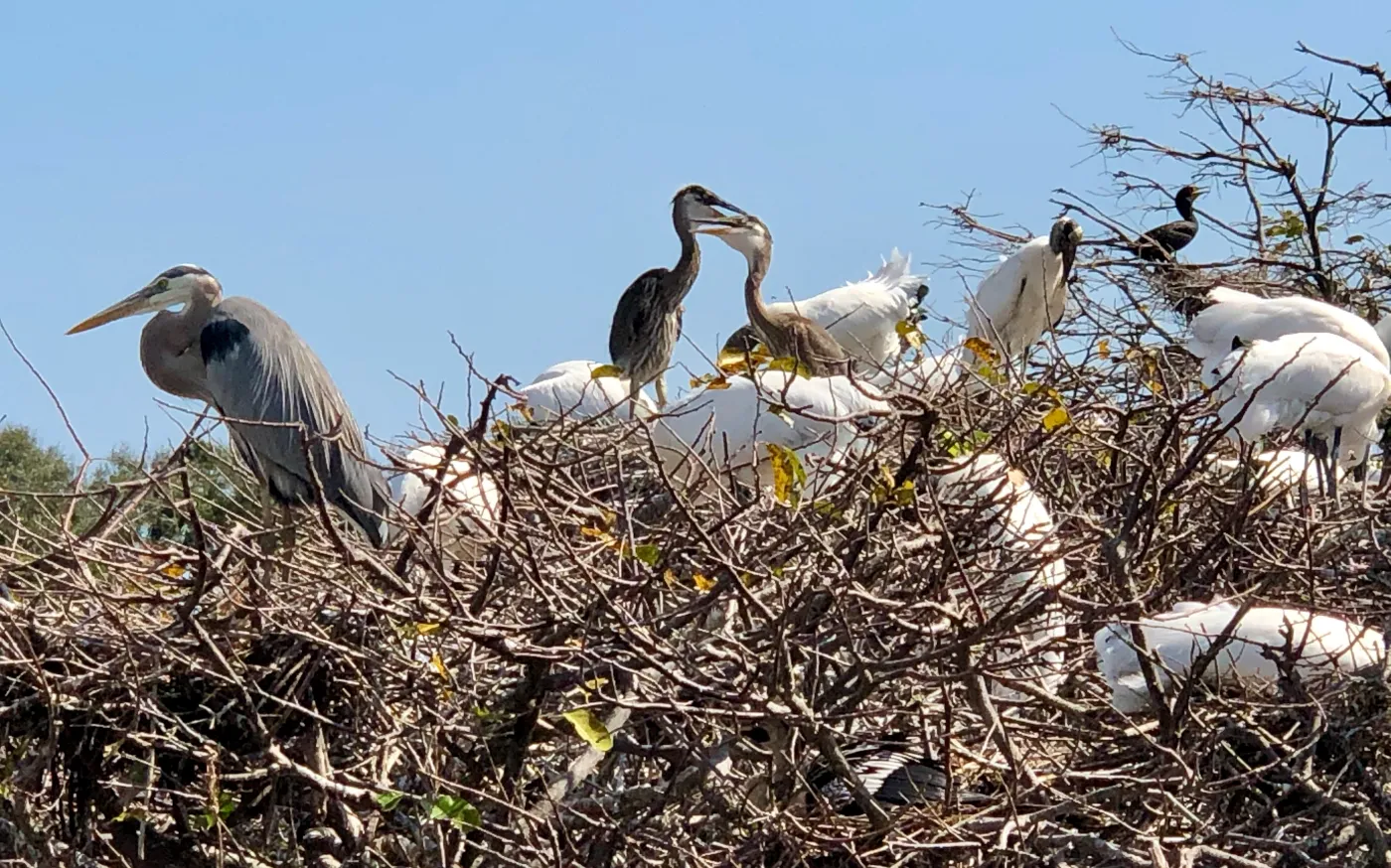 reparing to send your child off to college