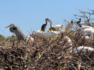 reparing to send your child off to college